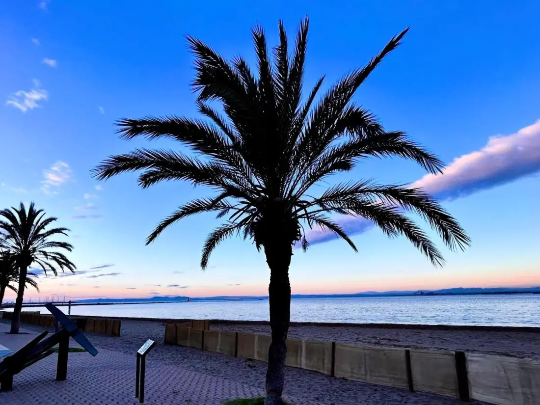 Location de Vacances Roses 1121