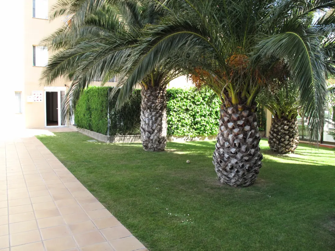 Location de Vacances Roses 1122