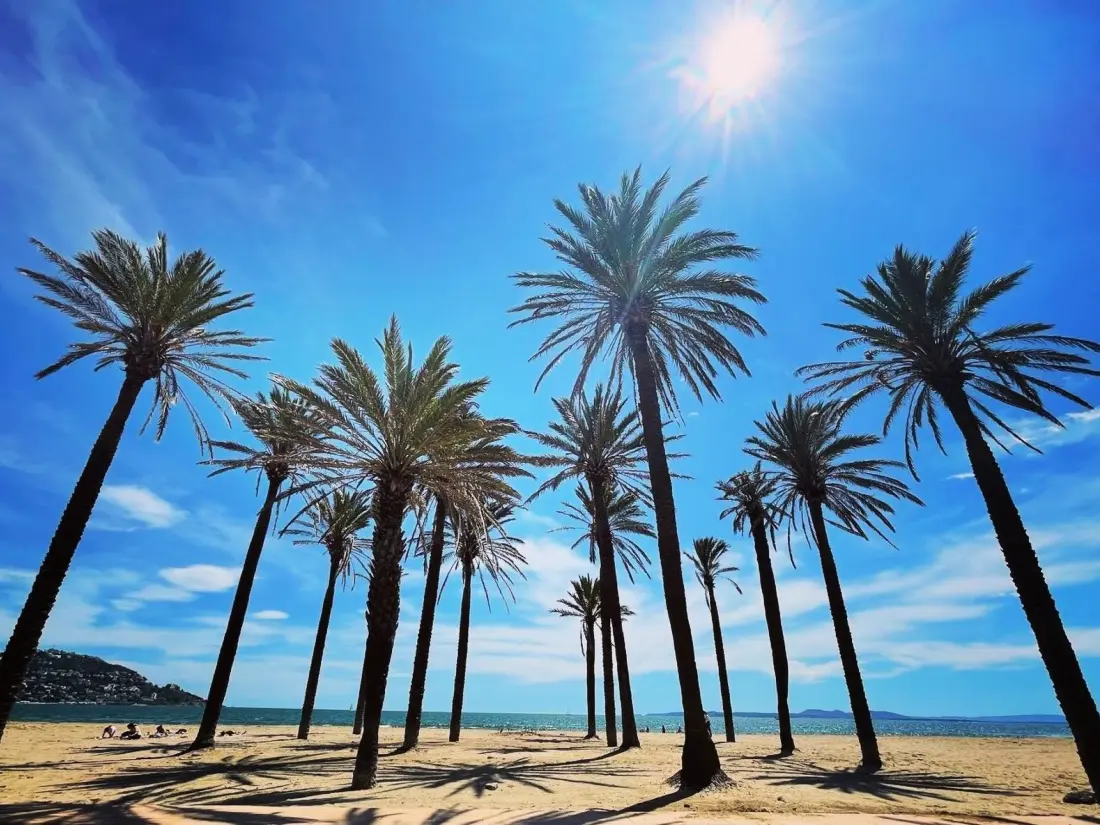 Location de Vacances Roses 1127