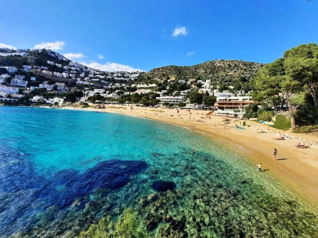 Location de Vacances Roses 1127