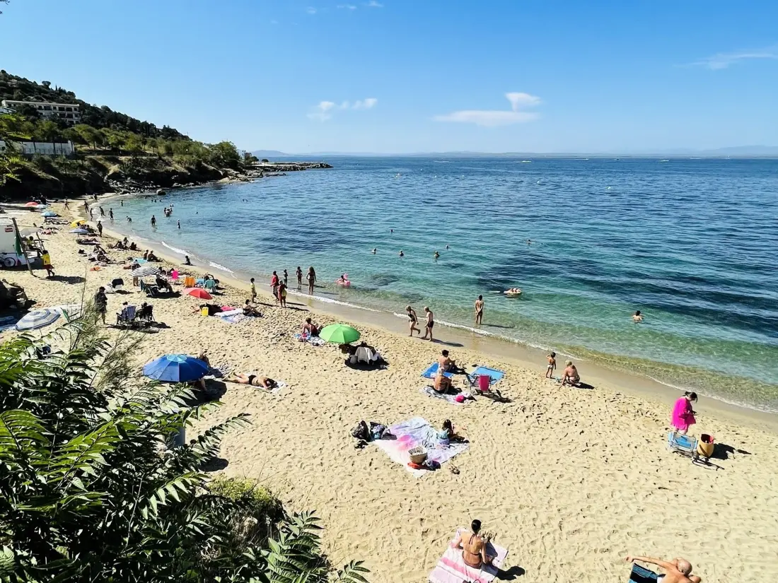 Location de Vacances Roses 1127