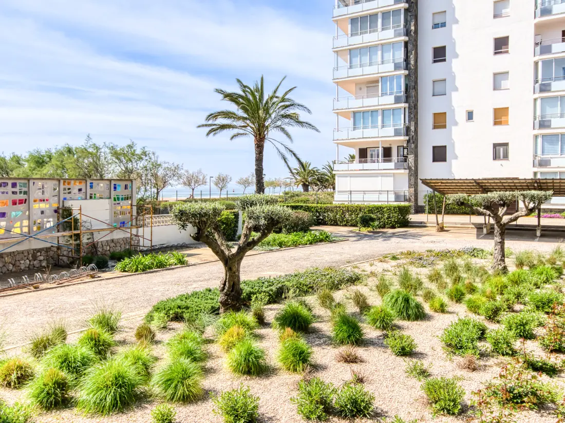 Location de Vacances Roses 1128