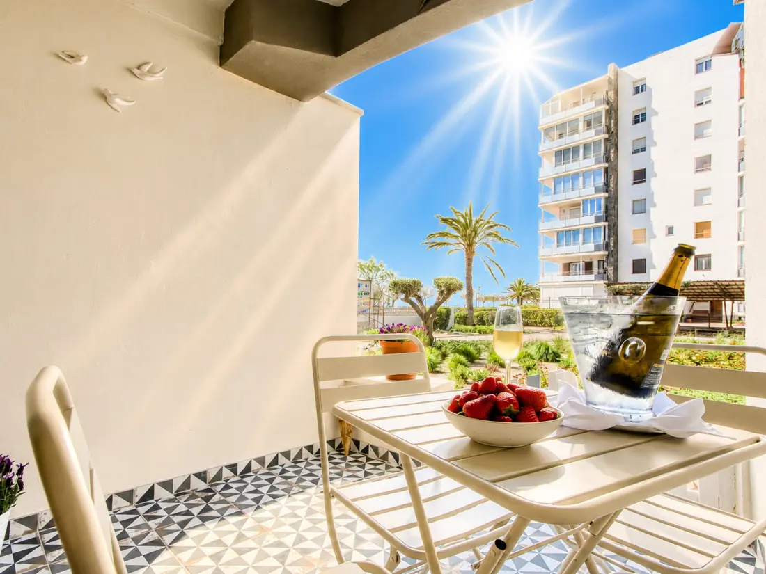 Location de Vacances Roses 1128