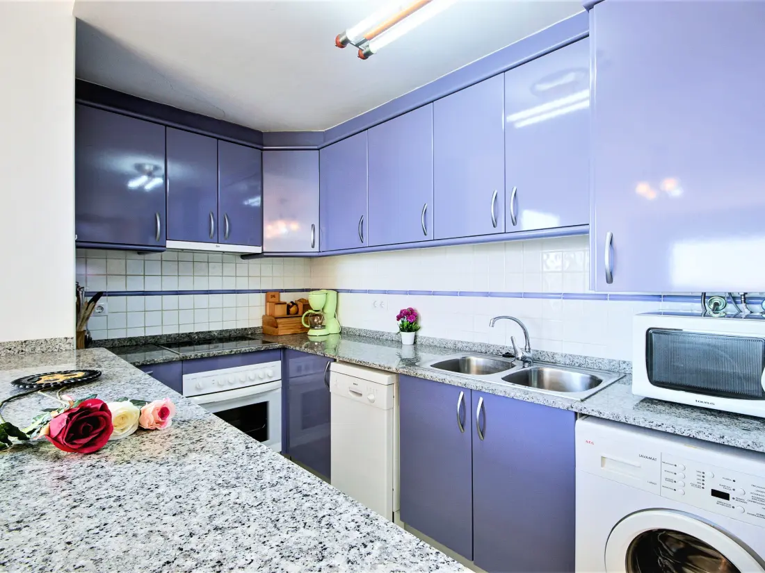 Location de Vacances Roses 1129