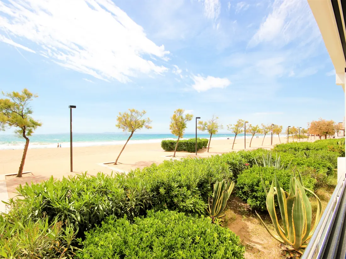 Location de Vacances Roses 1132