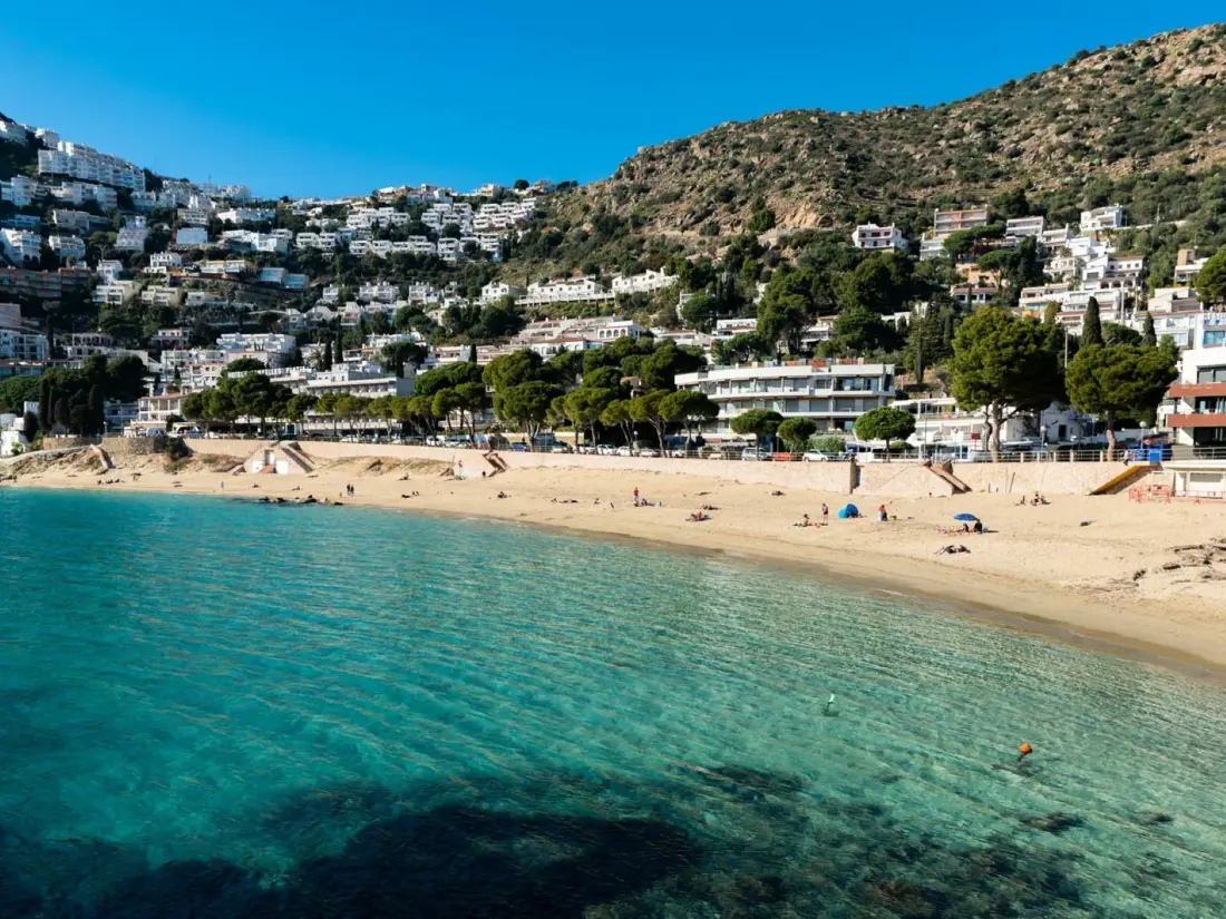 Location de Vacances Roses 1132