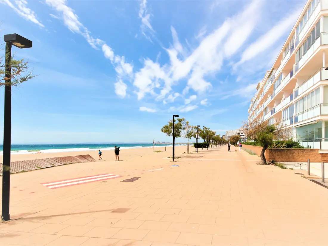 Location de Vacances Roses 1132