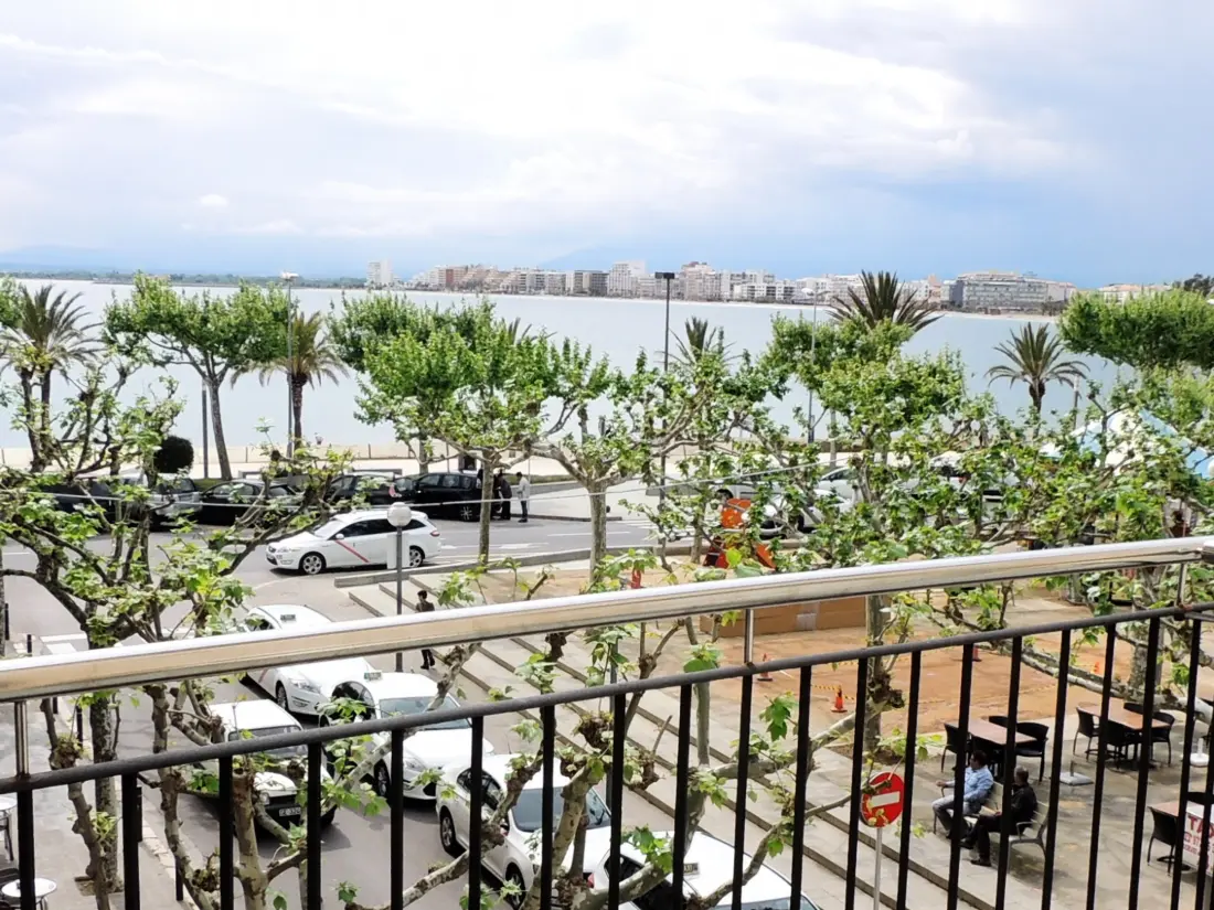Location de Vacances Roses 1135