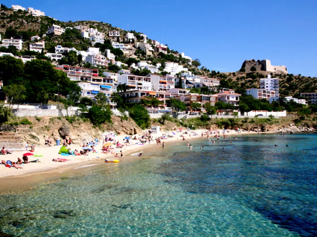 Location de Vacances Roses 1135