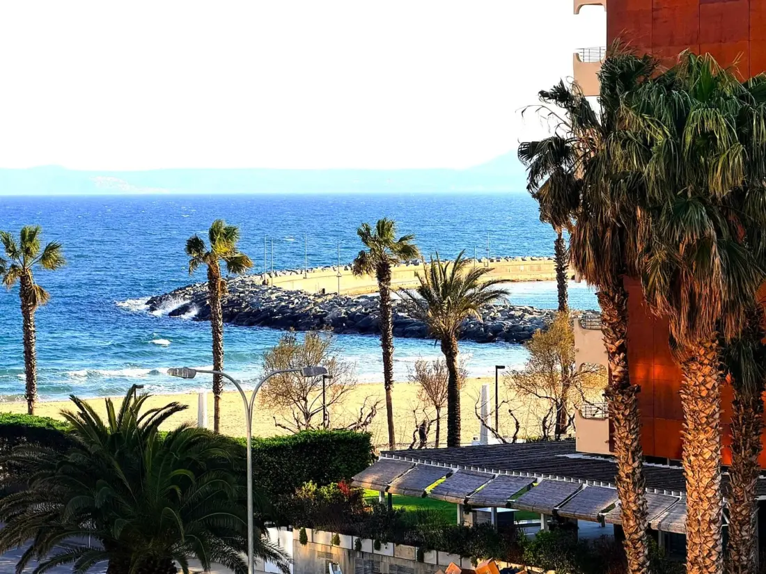 Location de Vacances Roses 114