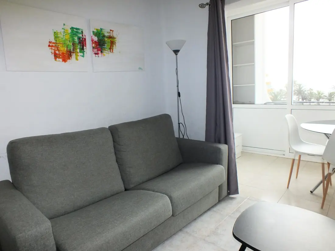 Location de Vacances Roses 114