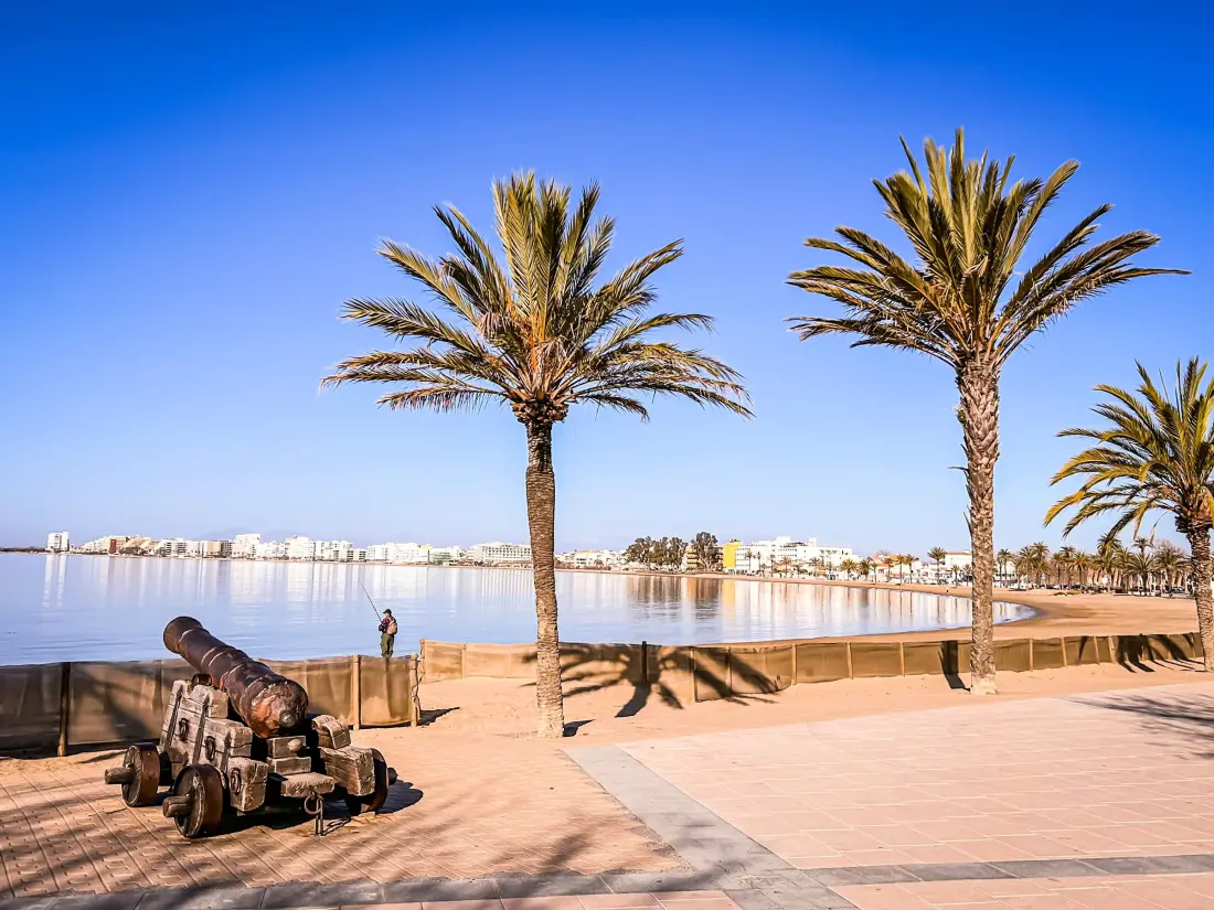 Location de Vacances Roses 1140