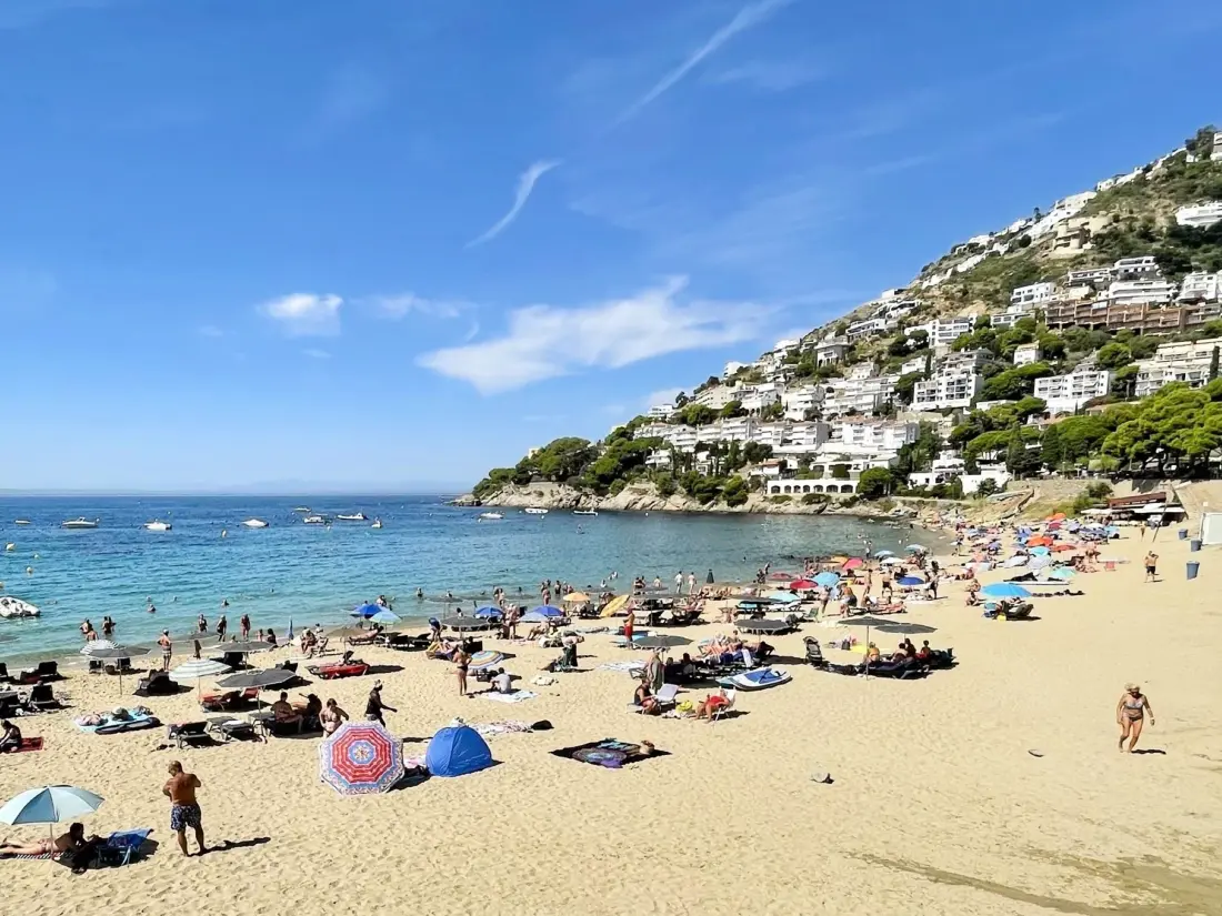 Location de Vacances Roses 1140