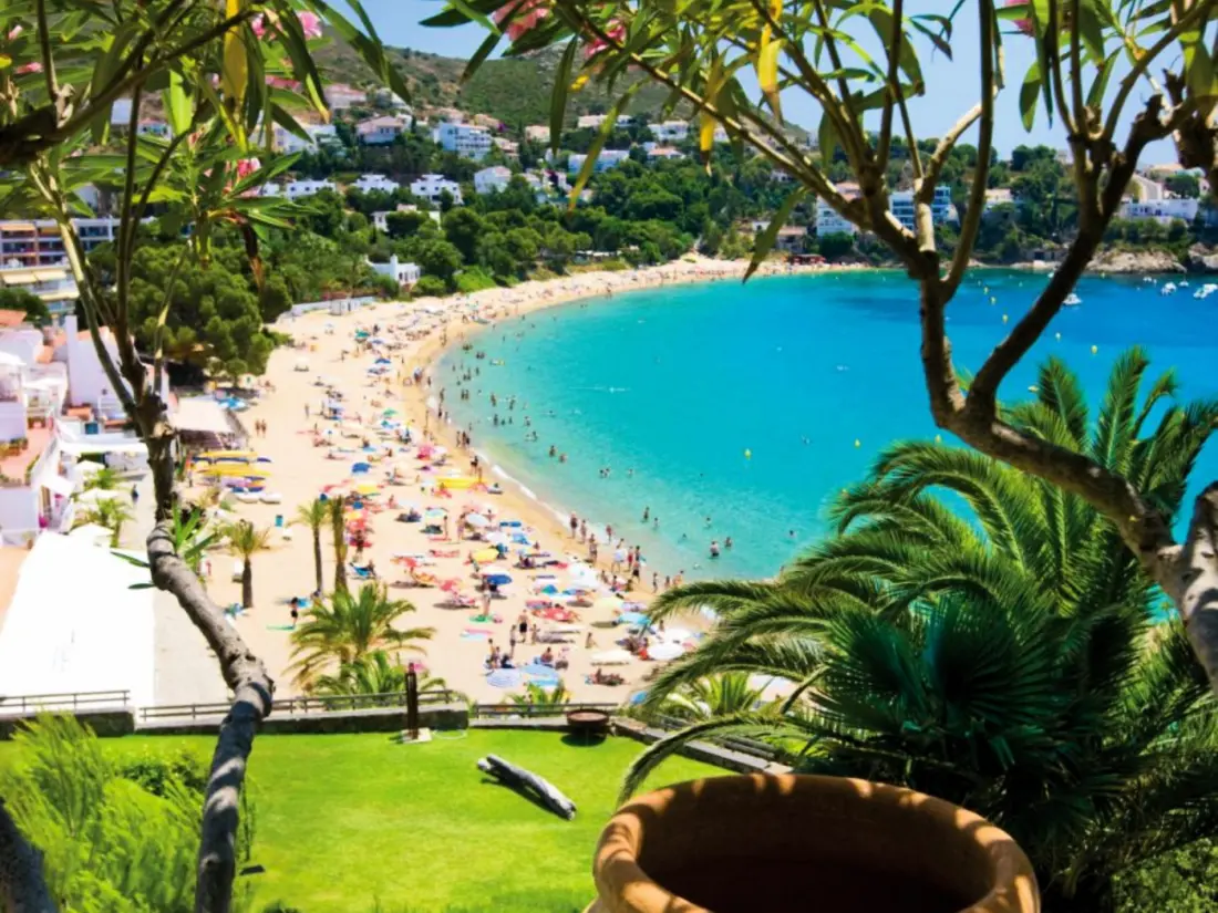 Location de Vacances Roses 1140