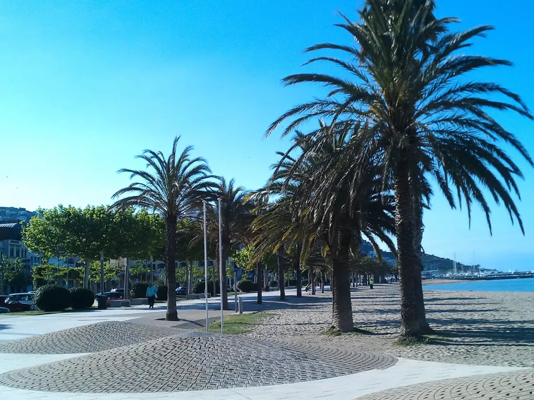 Location de Vacances Roses 1141
