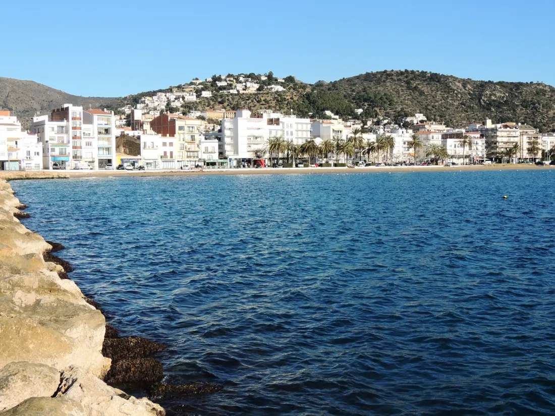 Location de Vacances Roses 1141
