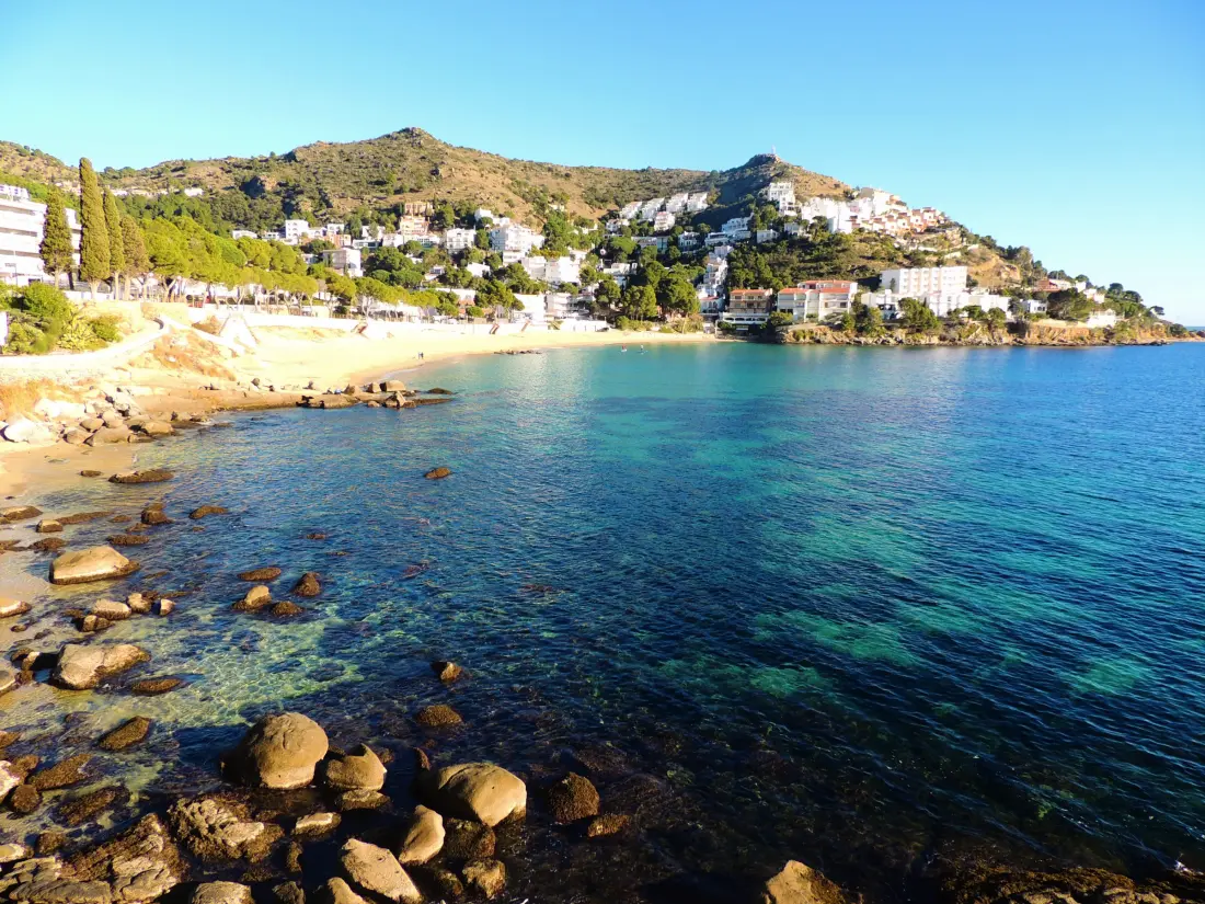 Location de Vacances Roses 1141