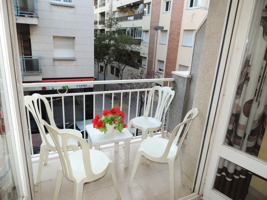 Location de Vacances Roses 1141