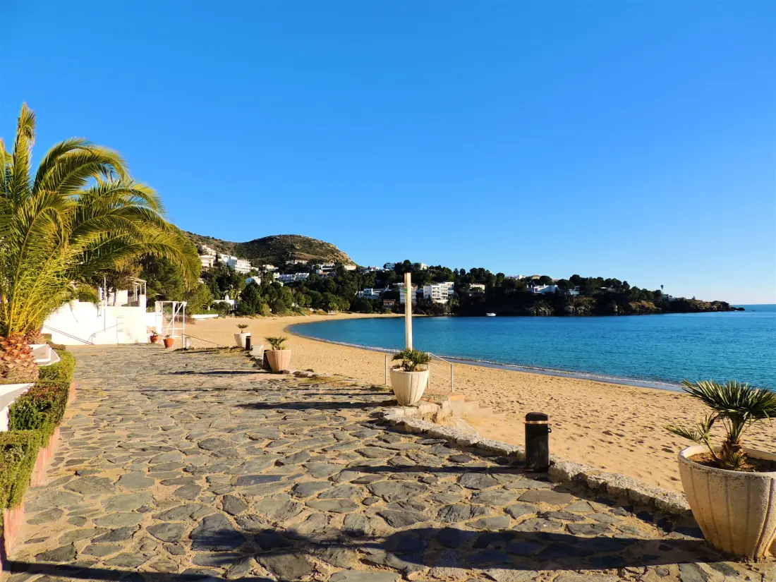 Location de Vacances Roses 1141