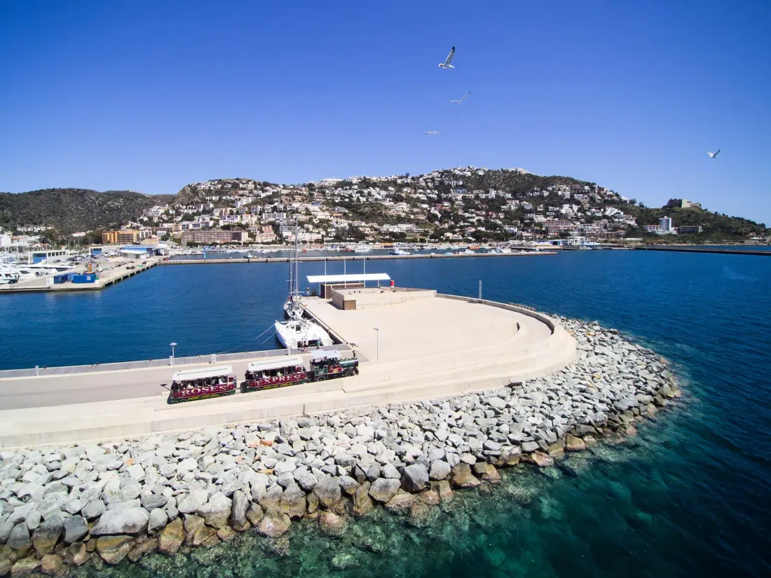 Location de Vacances Roses 1141