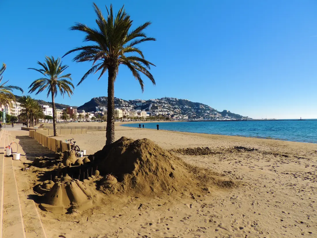 Location de Vacances Roses 1141