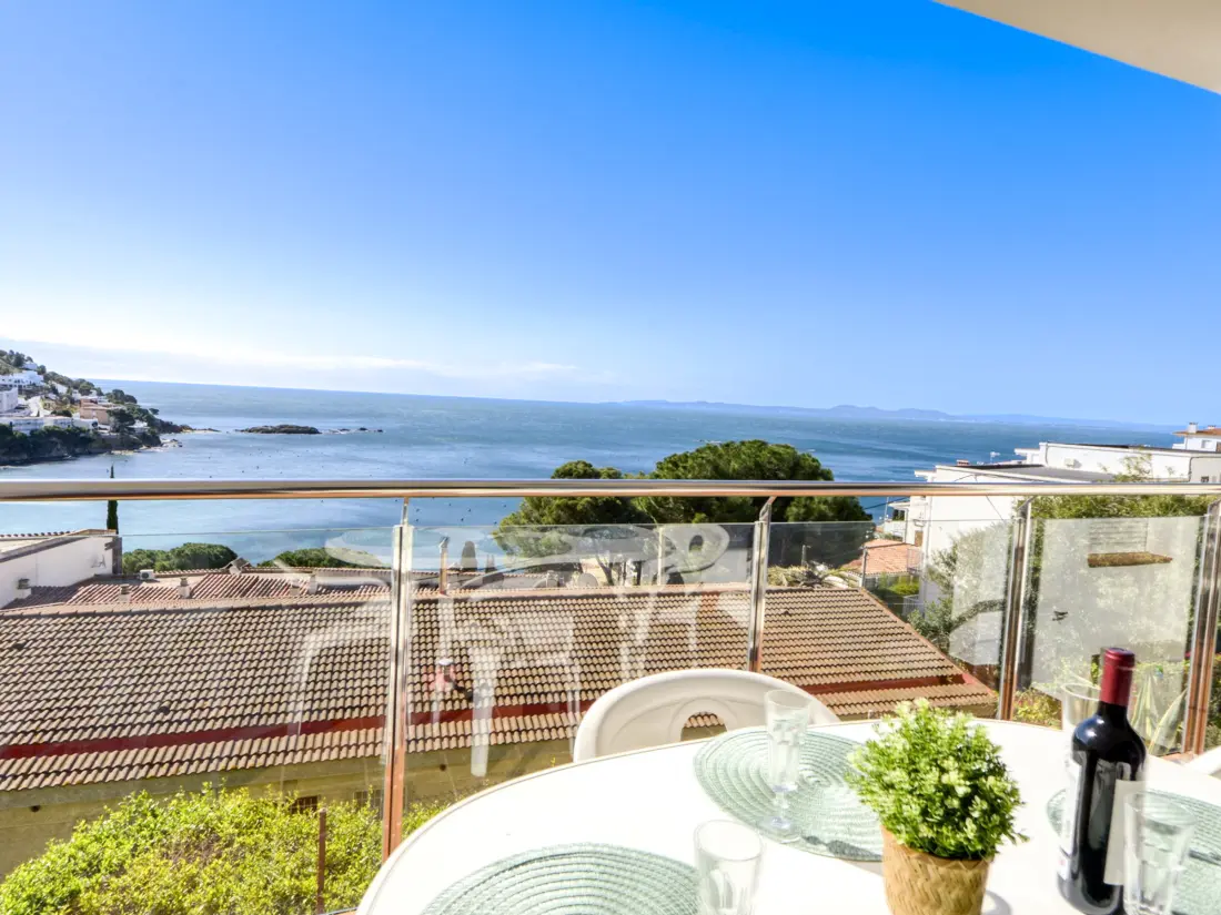 Location de Vacances Roses 1144