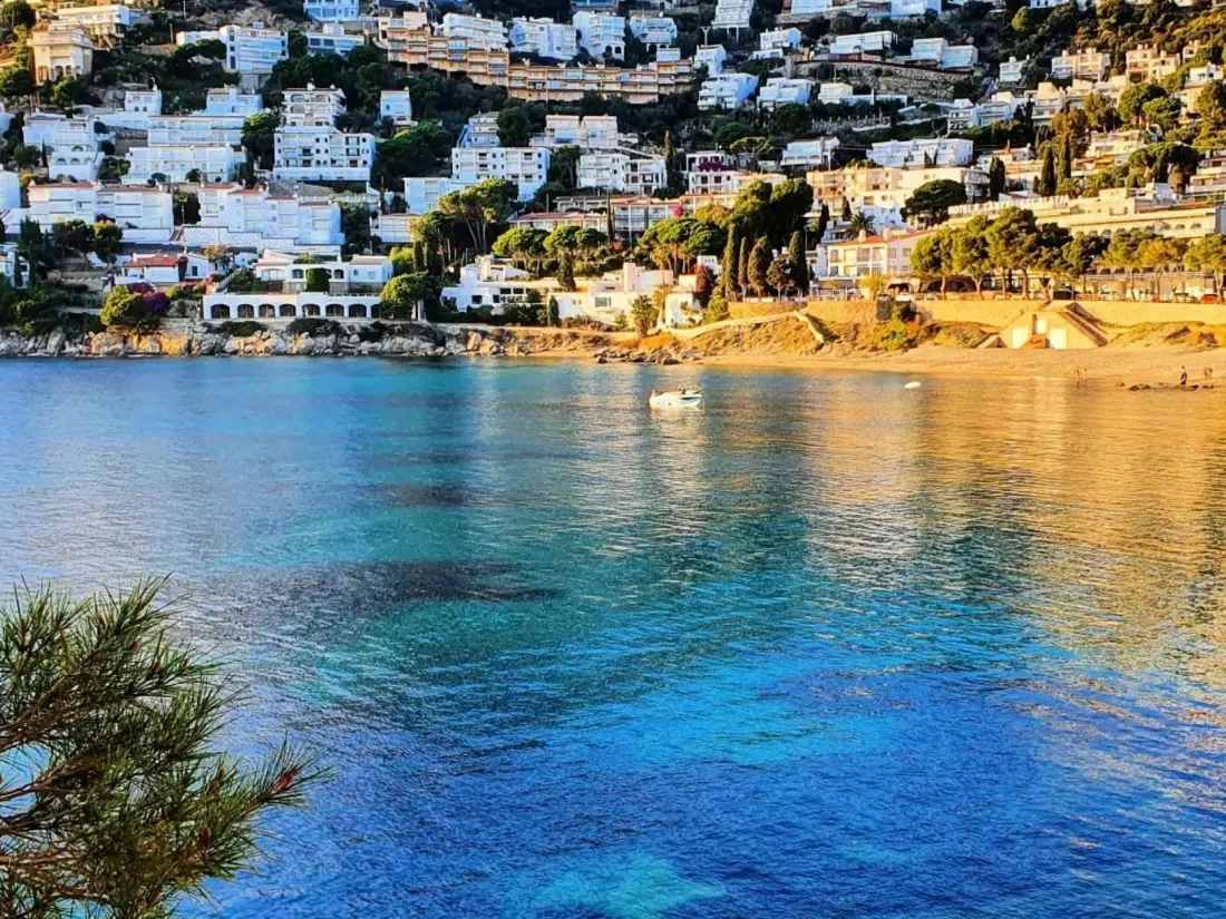Location de Vacances Roses 1148