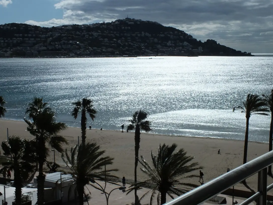 Location de Vacances Roses 115