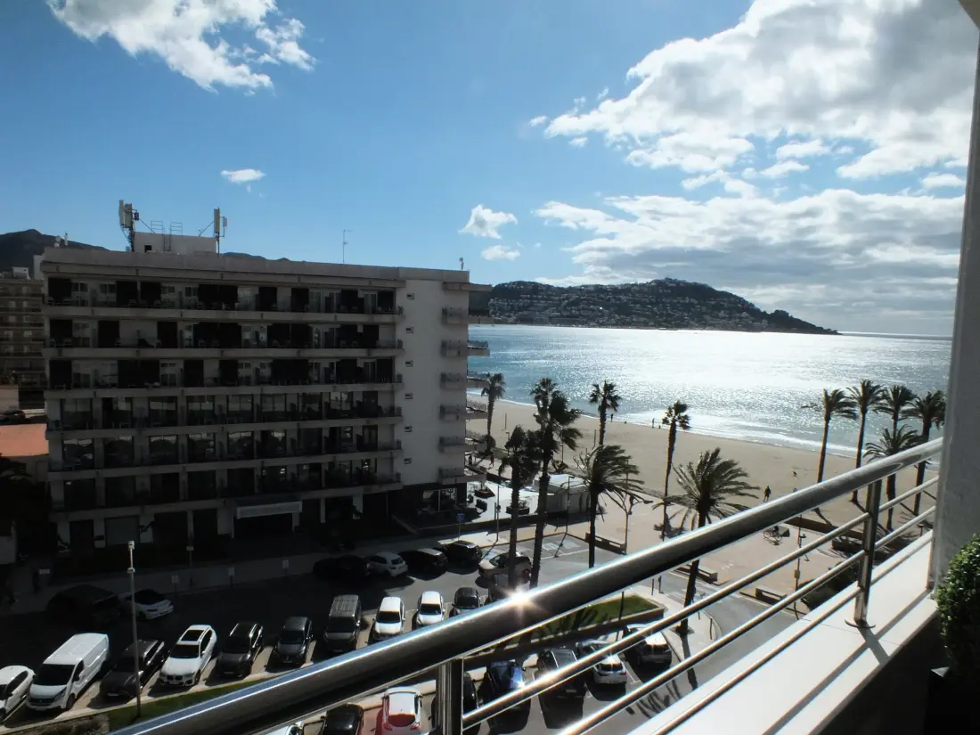 Location de Vacances Roses 115