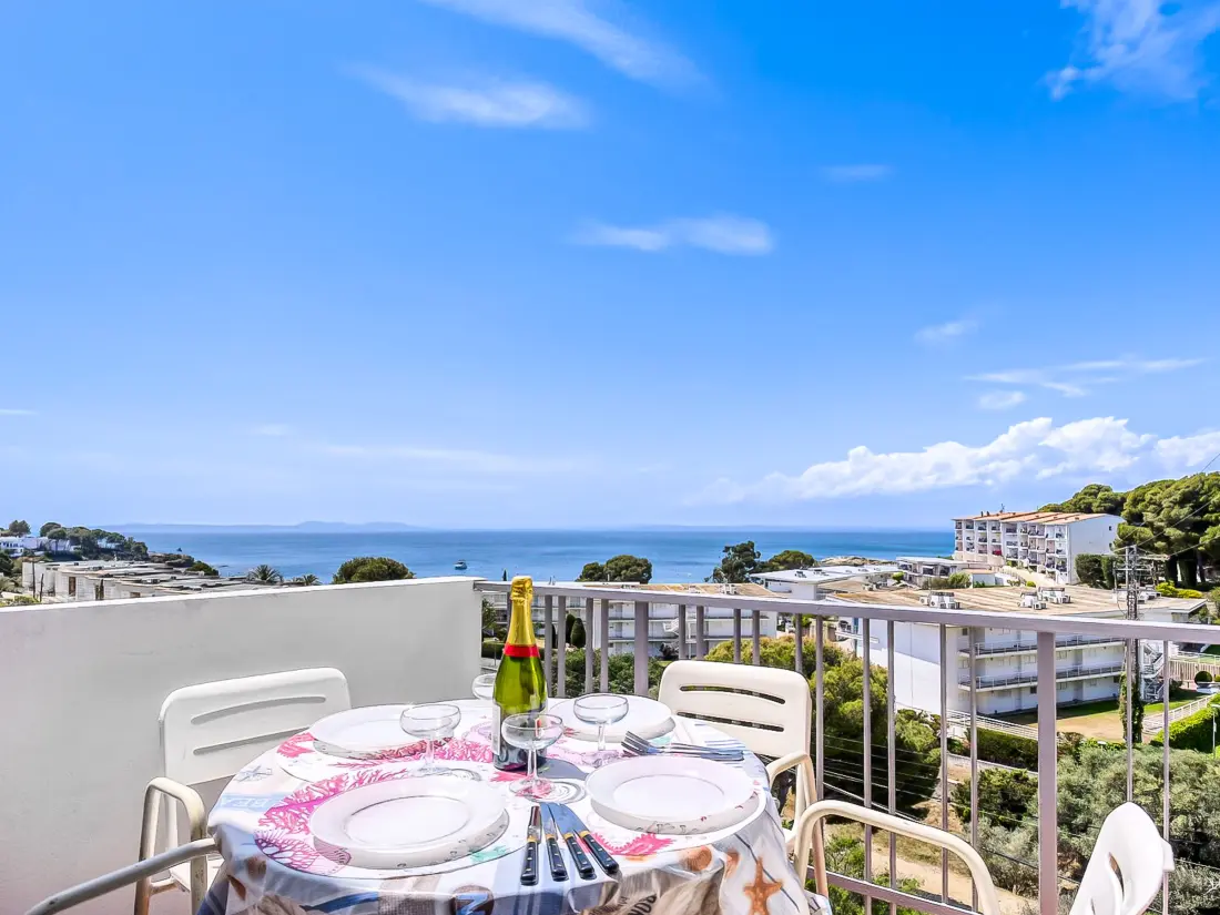 Location de Vacances Roses 1150