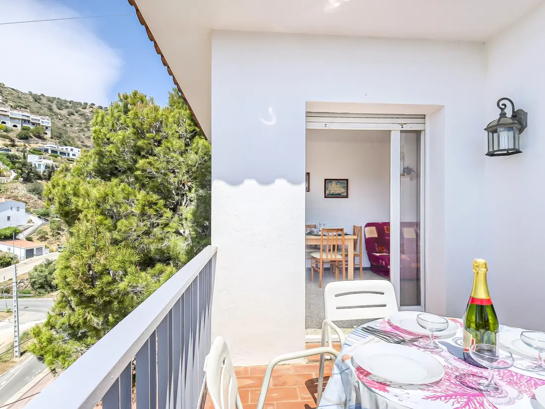 Location de Vacances Roses 1150