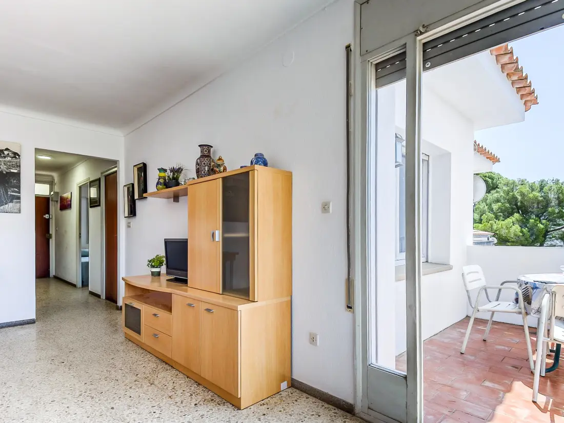 Location de Vacances Roses 1150
