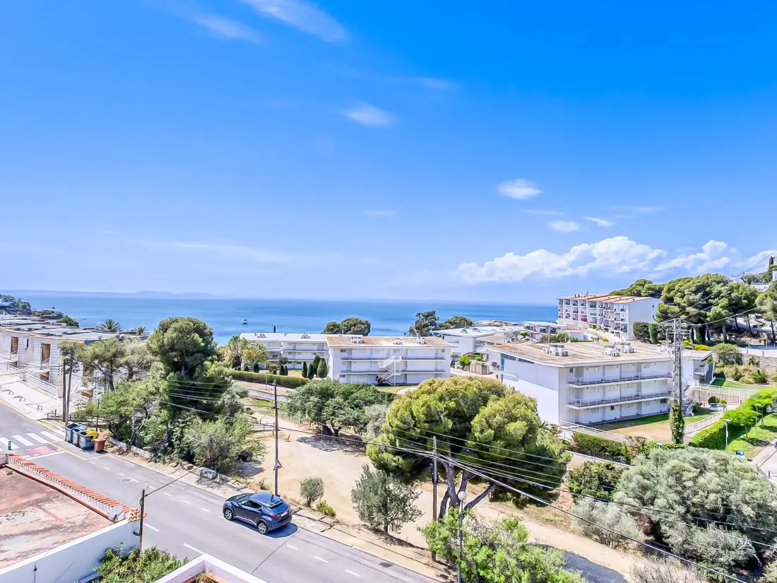 Location de Vacances Roses 1150