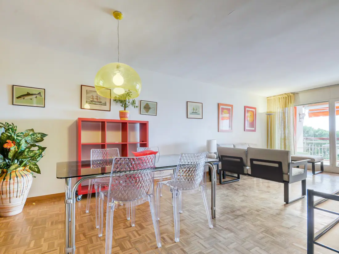 Location de Vacances Roses 1153