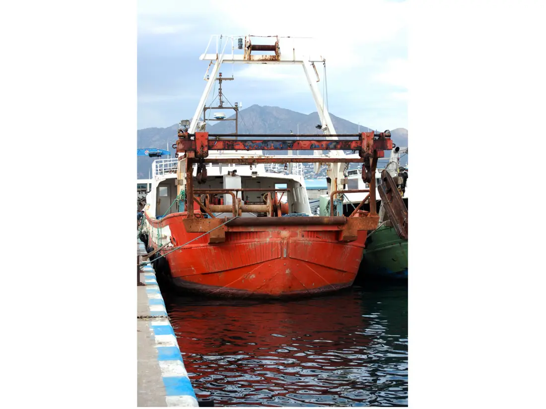 Location de Vacances Roses 1155