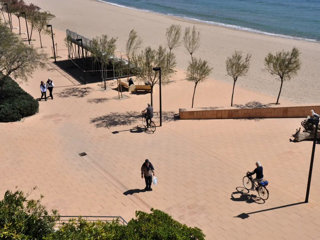 Location de Vacances Roses 1156