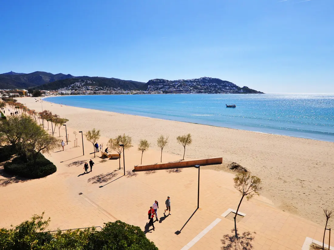 Location de Vacances Roses 1156