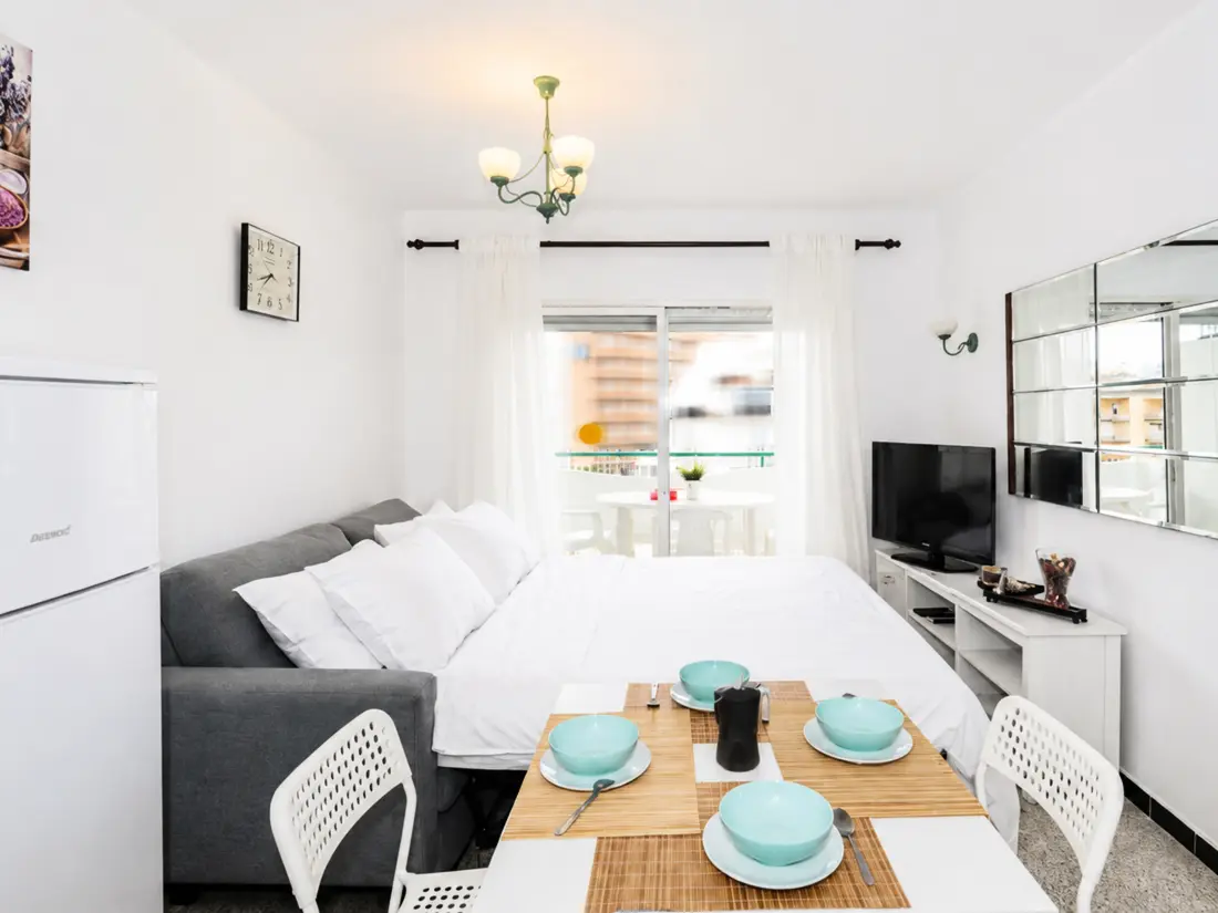 Location de Vacances Roses 1156