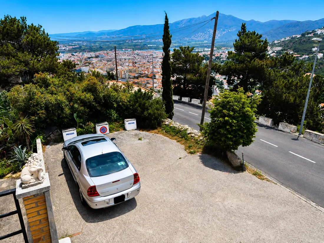 Location de Vacances Roses 1162