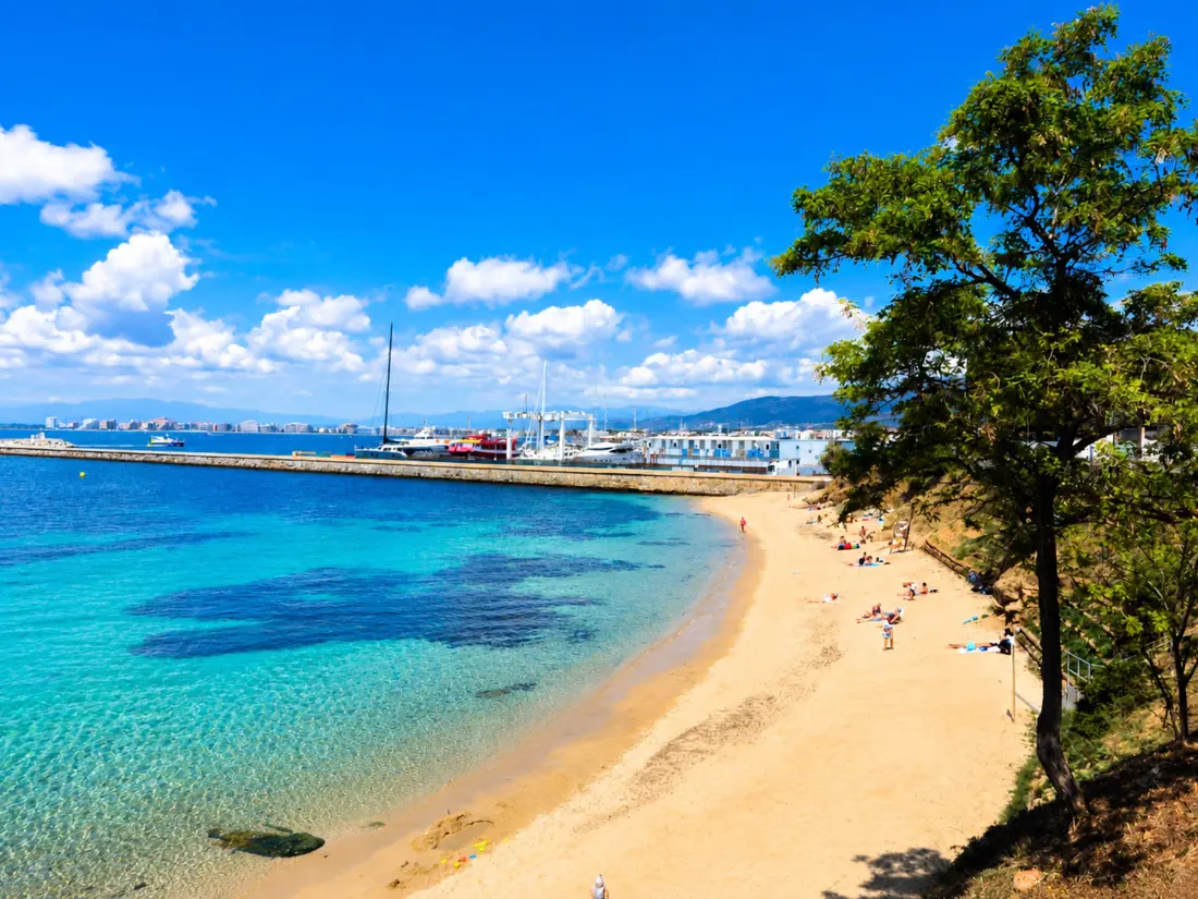 Location de Vacances Roses 1162