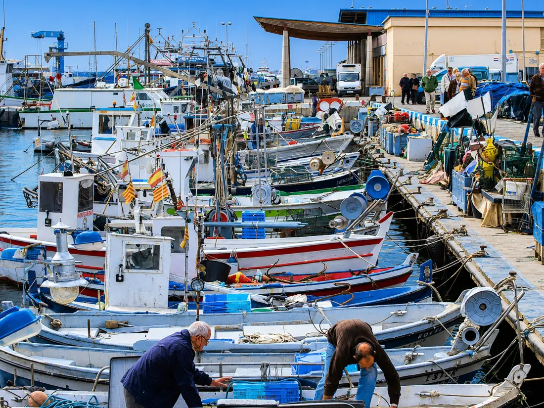 Location de Vacances Roses 1162
