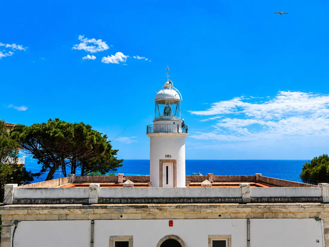 Location de Vacances Roses 1162