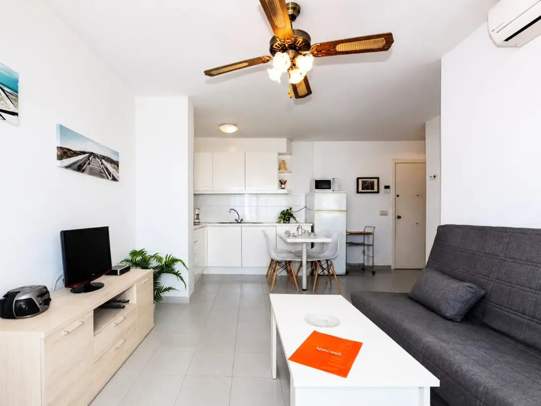 Location de Vacances Roses 1165