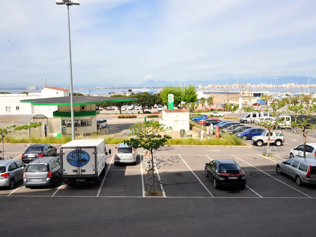 Location de Vacances Roses 1165