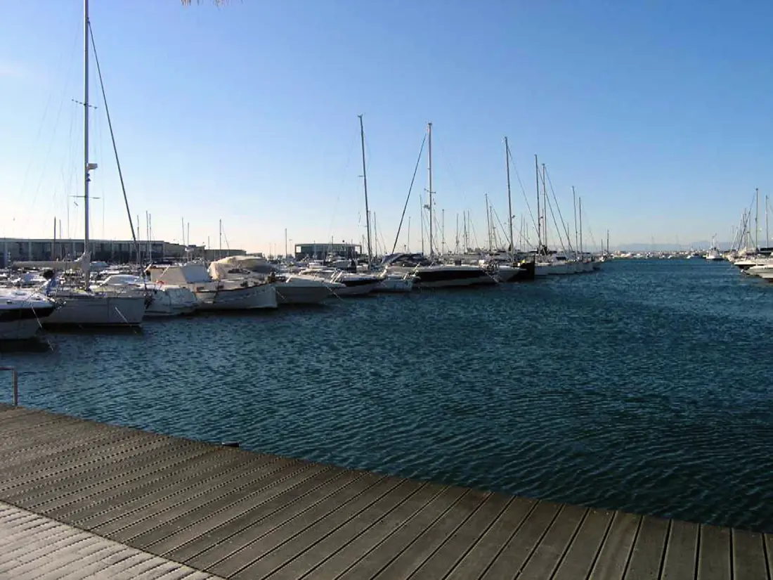 Location de Vacances Roses 1165