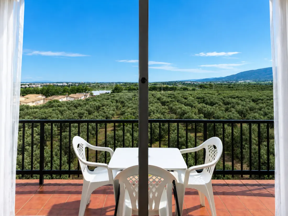 Location de Vacances Roses 1168