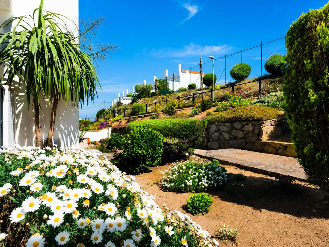 Location de Vacances Roses 1173