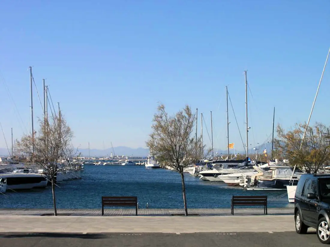 Location de Vacances Roses 1174