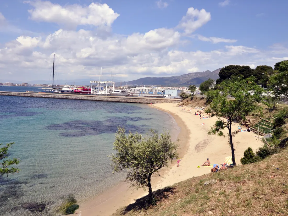 Location de Vacances Roses 1174