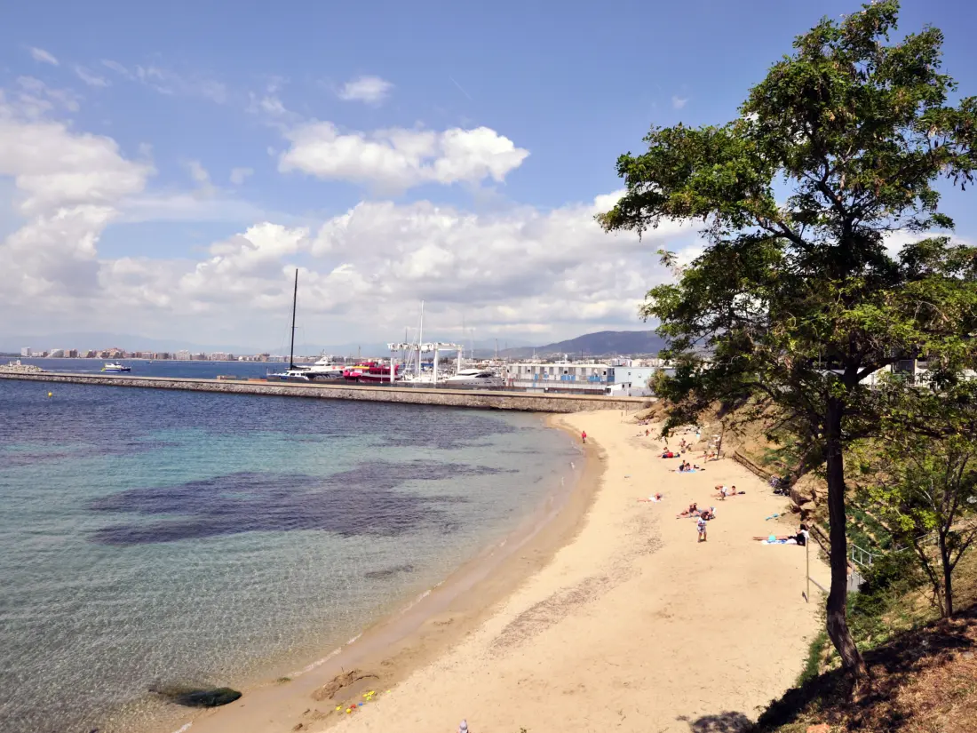 Location de Vacances Roses 1174